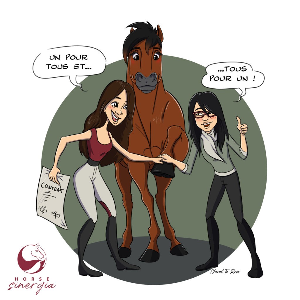 la co-pension de chevaux