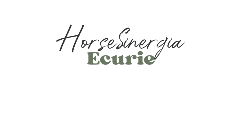 logo horseisnergia écurie - application de demi pension pour les centres équestres